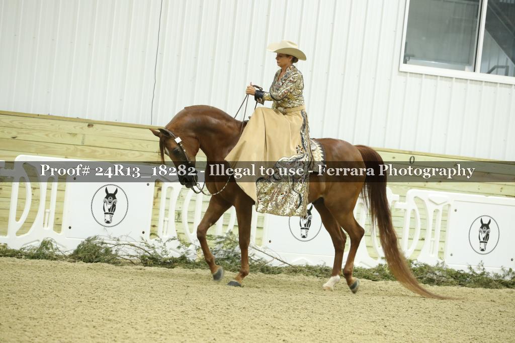 Proof 24R13_18282