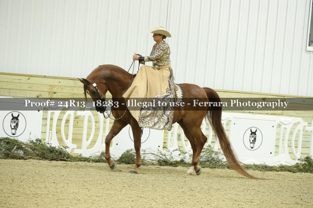 Proof 24R13_18283