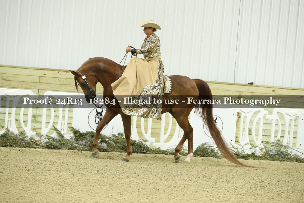Proof 24R13_18284