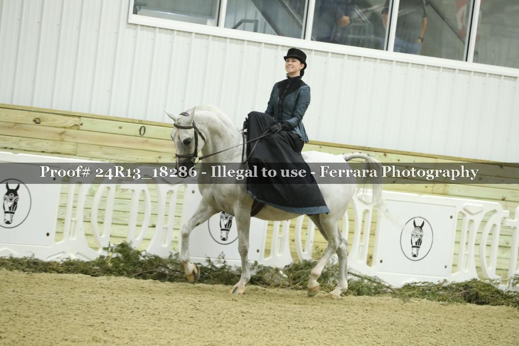Proof 24R13_18286