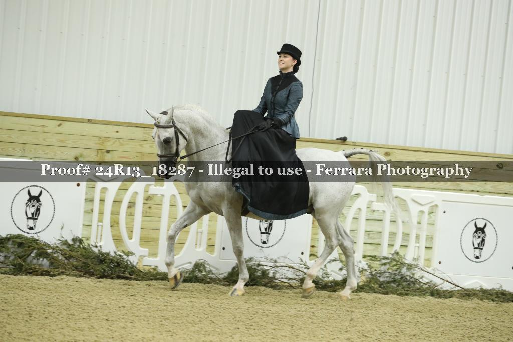 Proof 24R13_18287