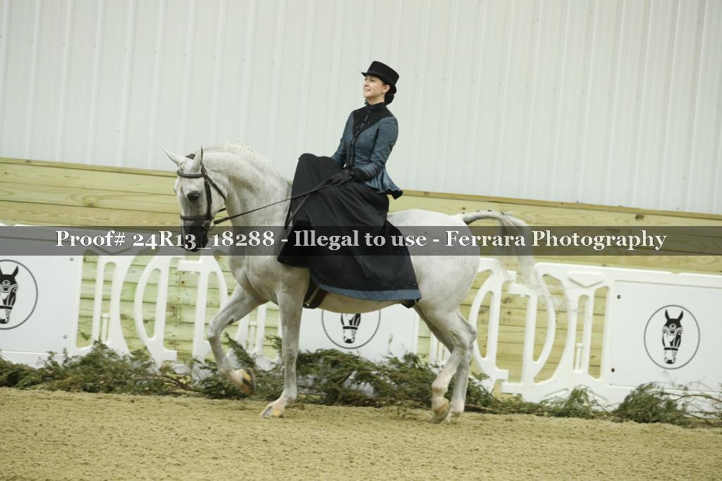Proof 24R13_18288