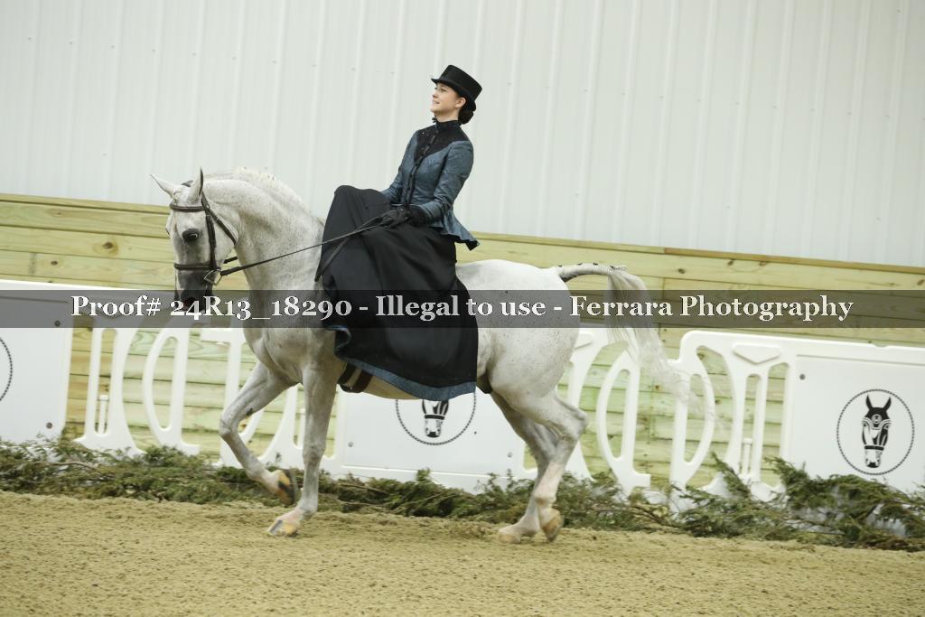Proof 24R13_18290