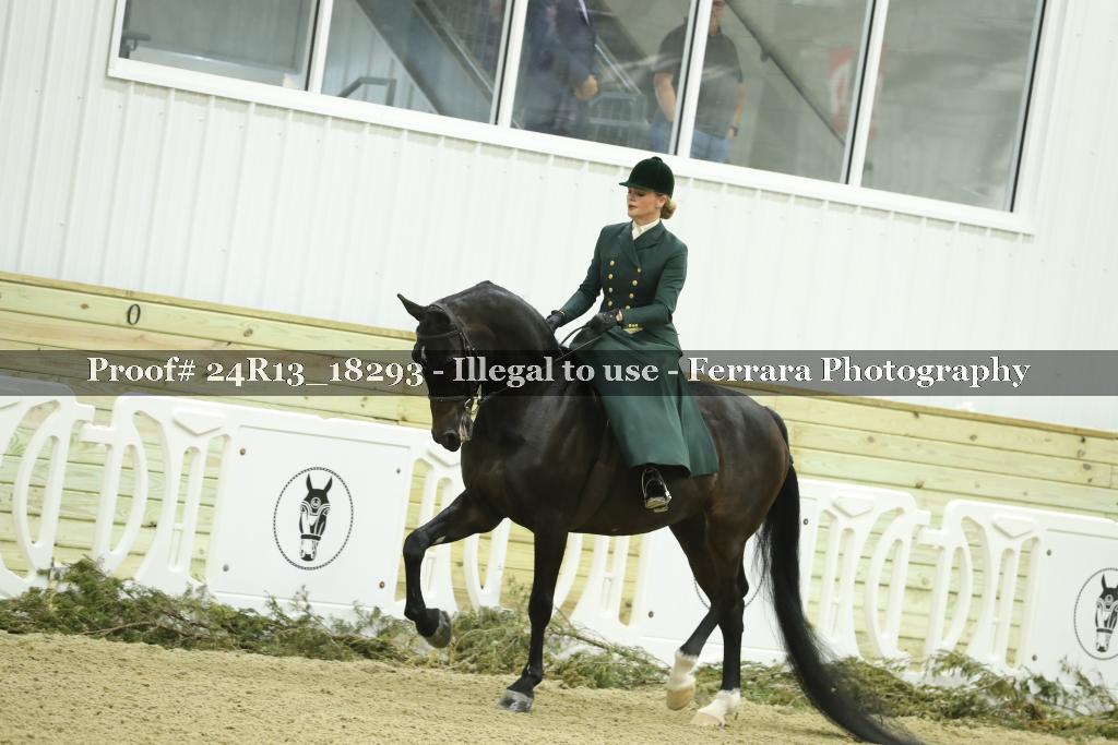 Proof 24R13_18293