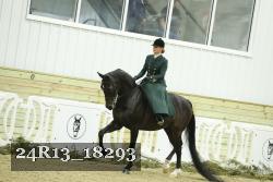 24R13_18293 proof