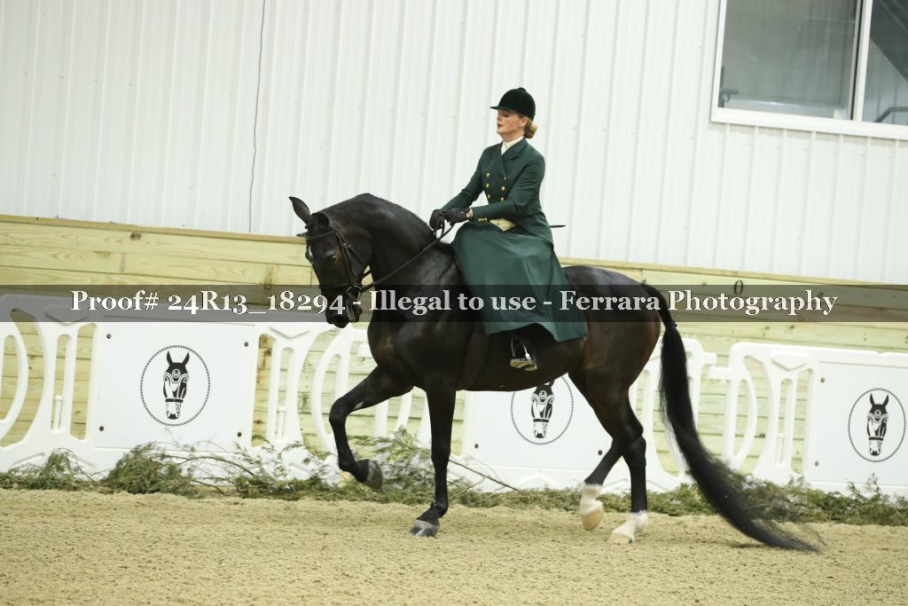 Proof 24R13_18294