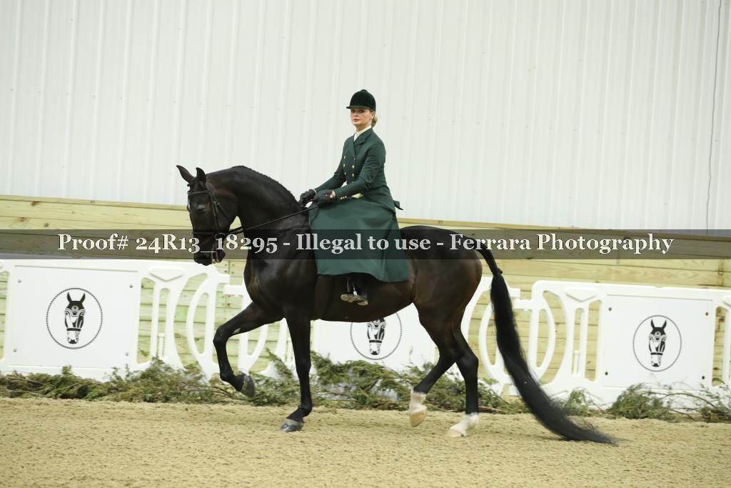 Proof 24R13_18295