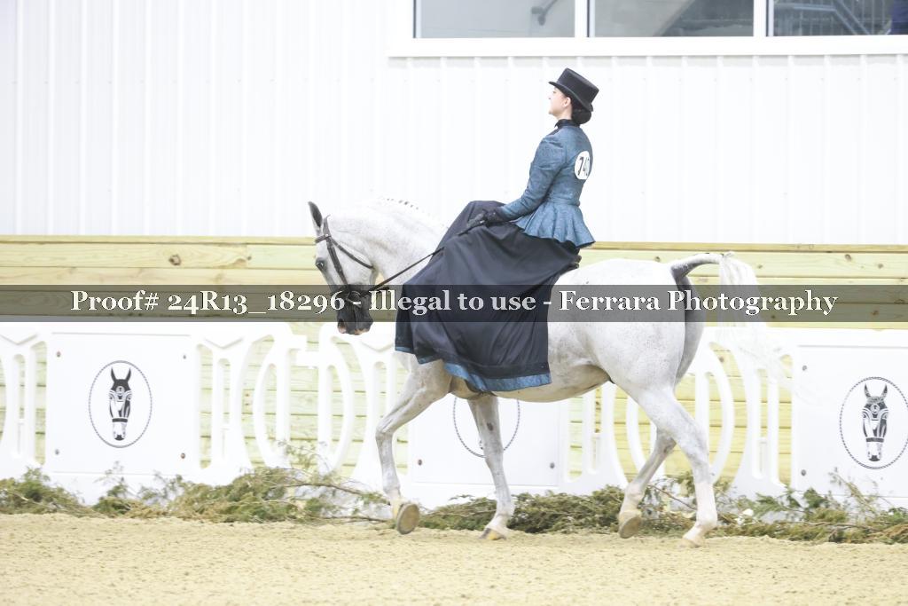 Proof 24R13_18296
