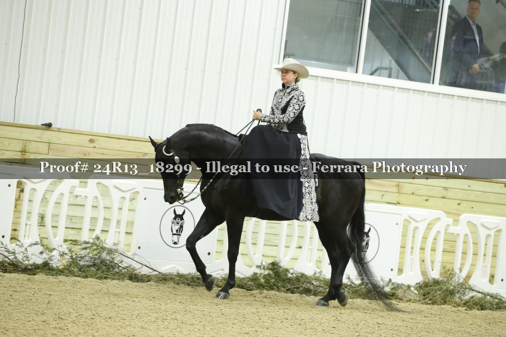Proof 24R13_18299