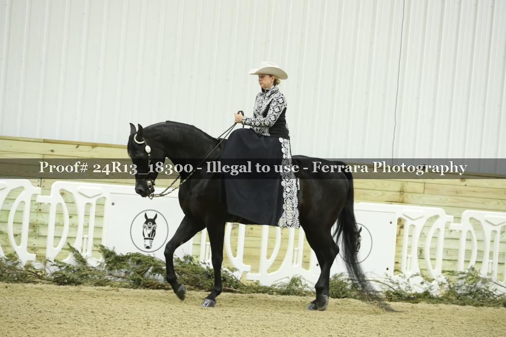 Proof 24R13_18300
