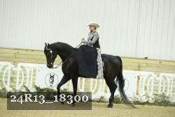 24R13_18300 proof