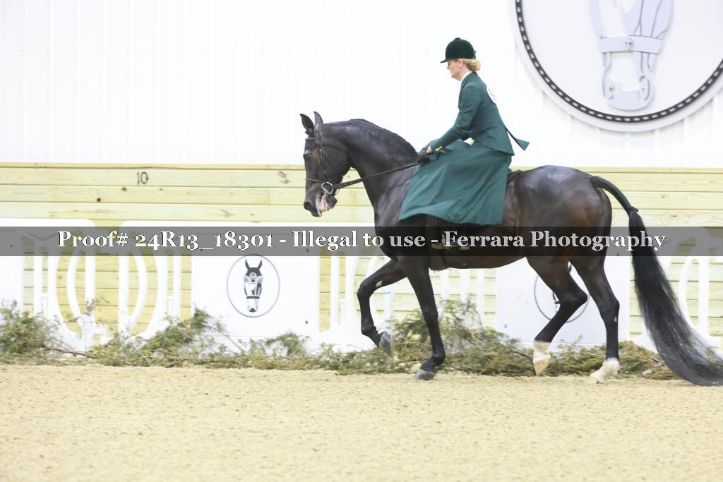 Proof 24R13_18301