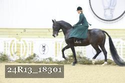 24R13_18301 proof