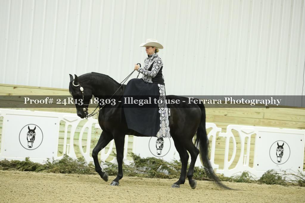 Proof 24R13_18303