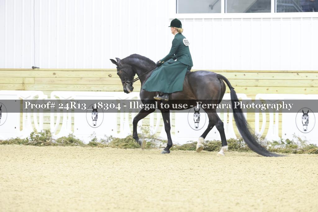 Proof 24R13_18304