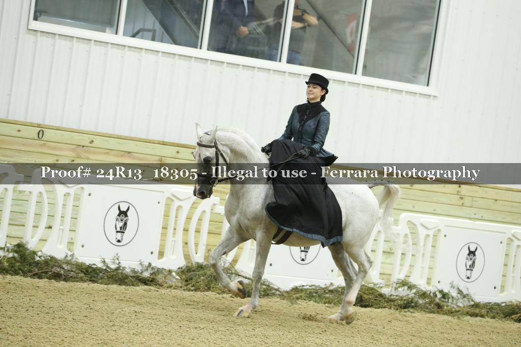 Proof 24R13_18305