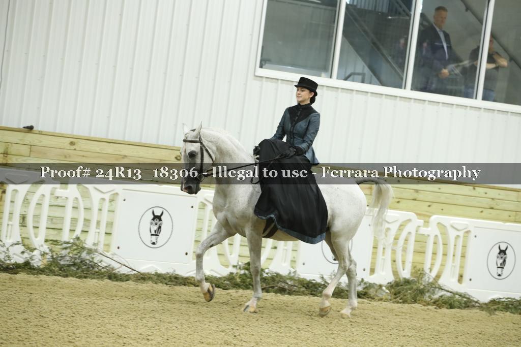 Proof 24R13_18306