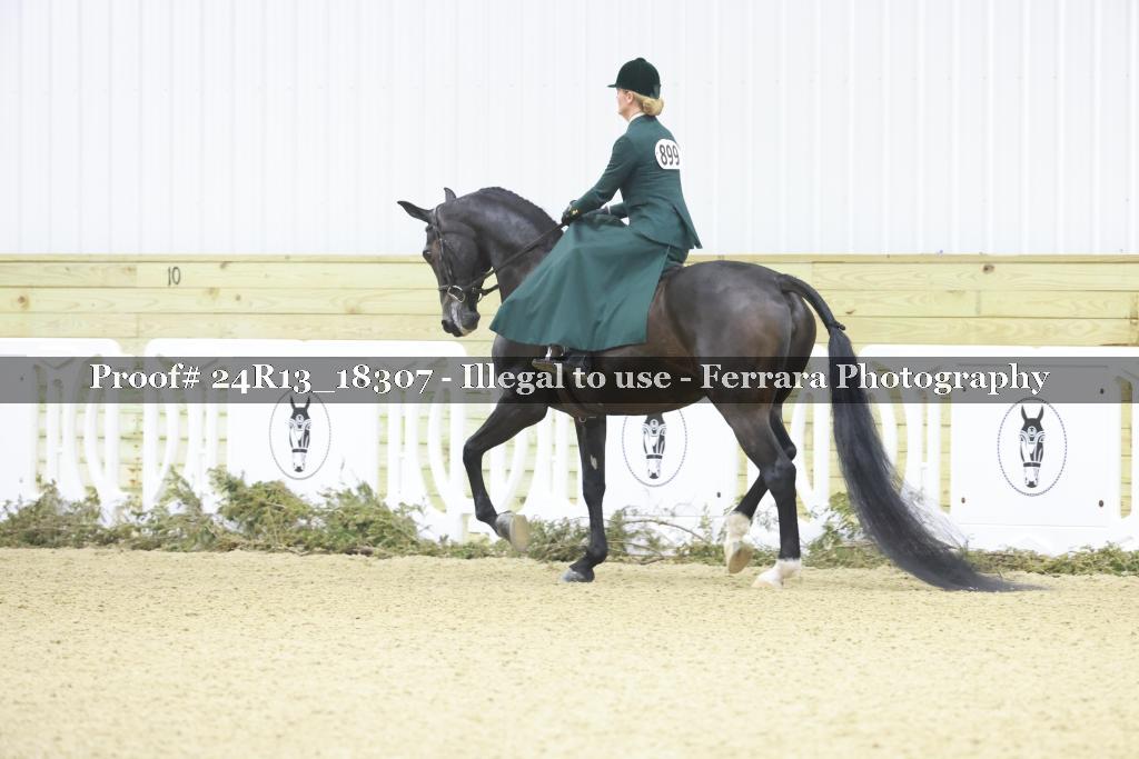 Proof 24R13_18307