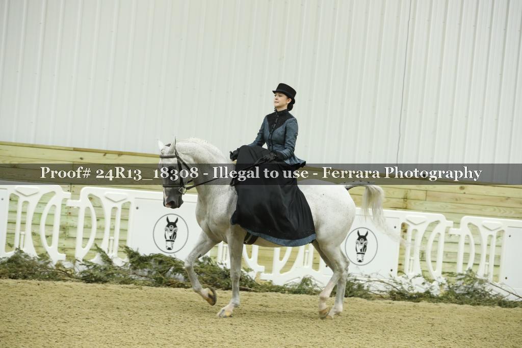 Proof 24R13_18308