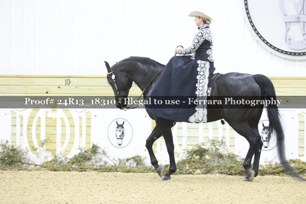 Proof 24R13_18310