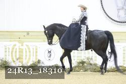 24R13_18310 proof