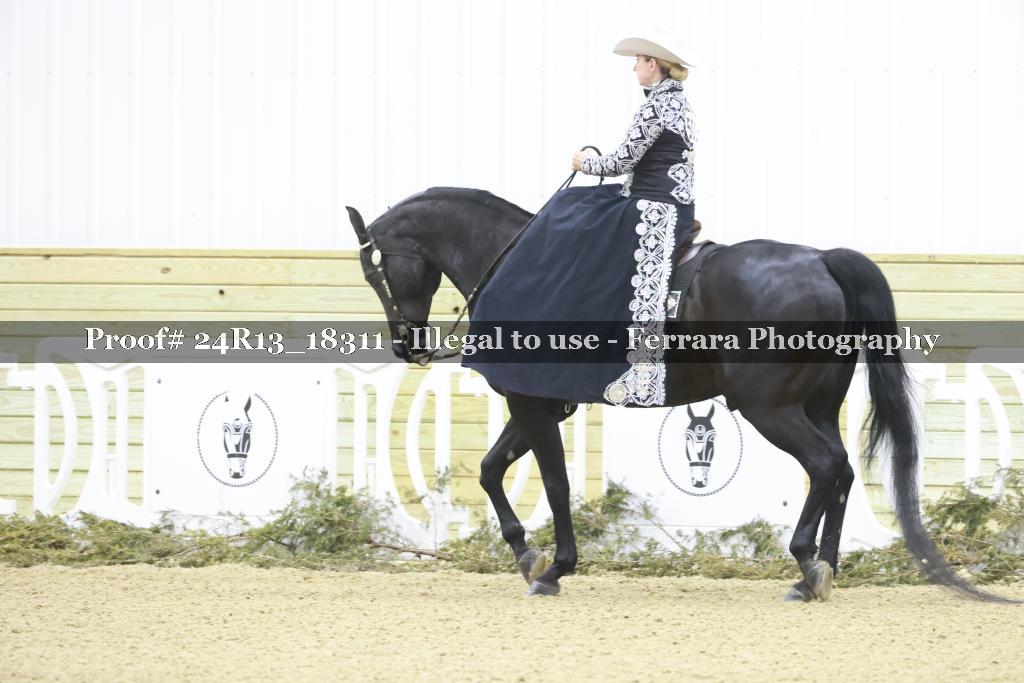 Proof 24R13_18311