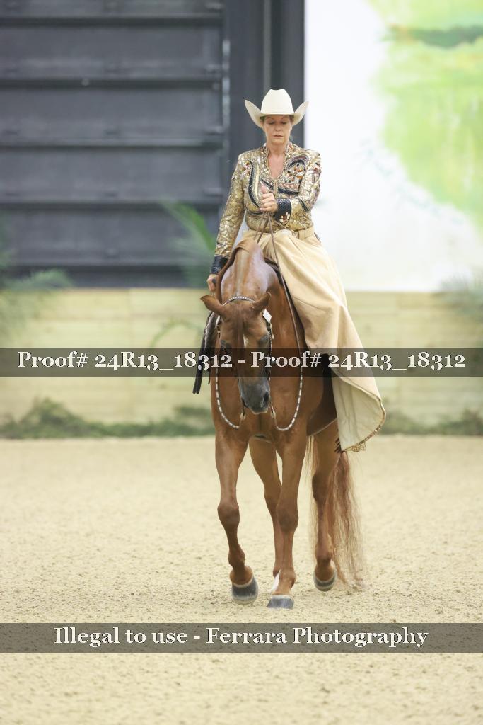 Proof 24R13_18312