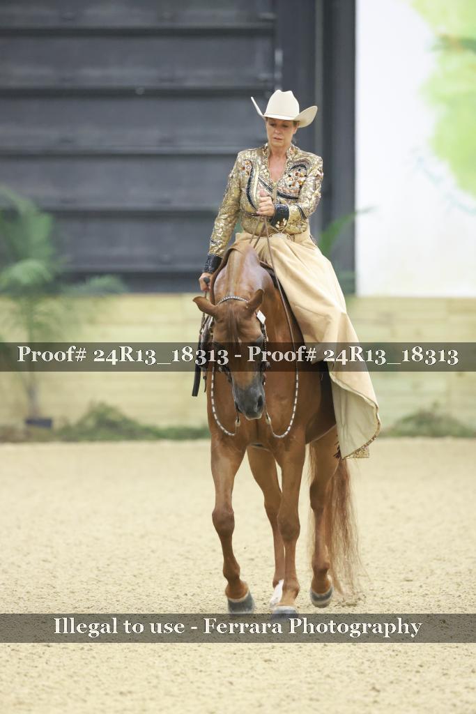 Proof 24R13_18313