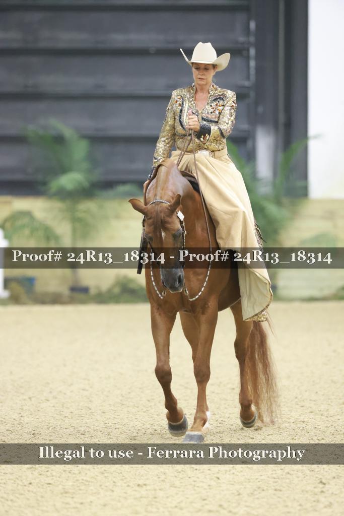 Proof 24R13_18314
