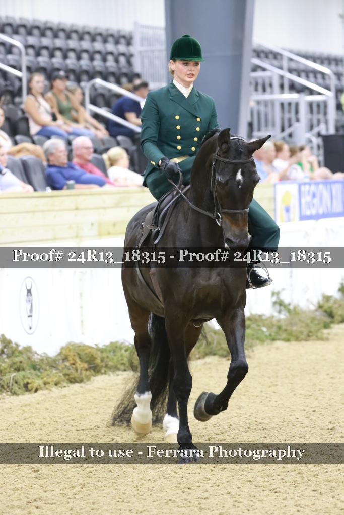 Proof 24R13_18315
