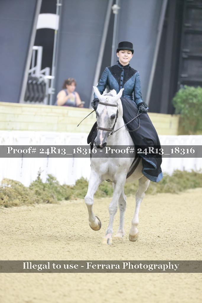 Proof 24R13_18316