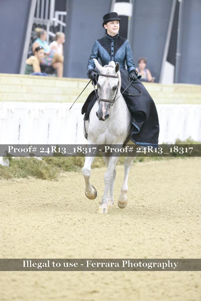 Proof 24R13_18317