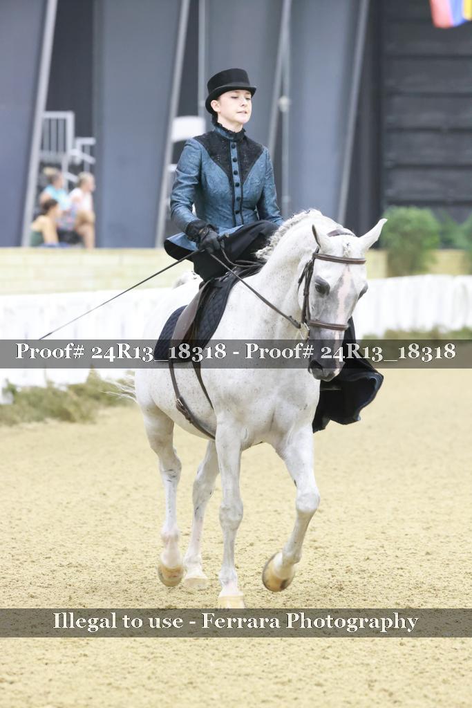 Proof 24R13_18318