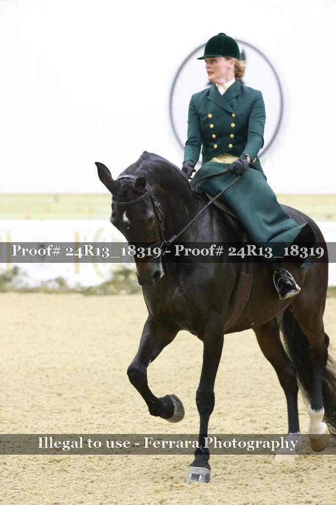 Proof 24R13_18319
