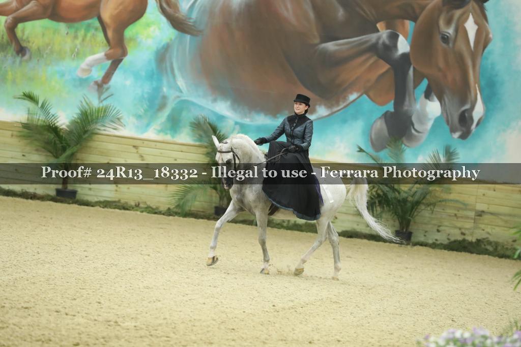 Proof 24R13_18332