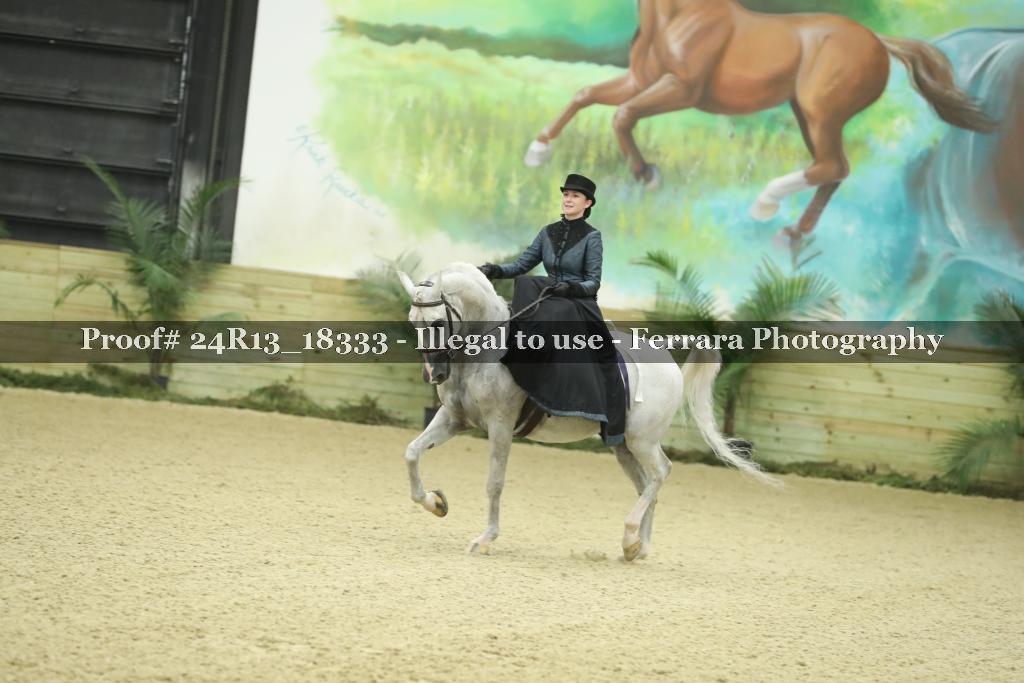 Proof 24R13_18333