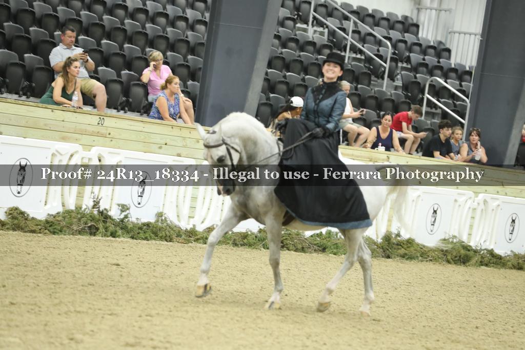 Proof 24R13_18334