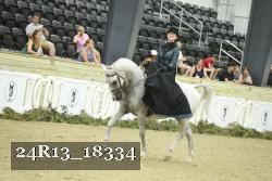 24R13_18334 proof