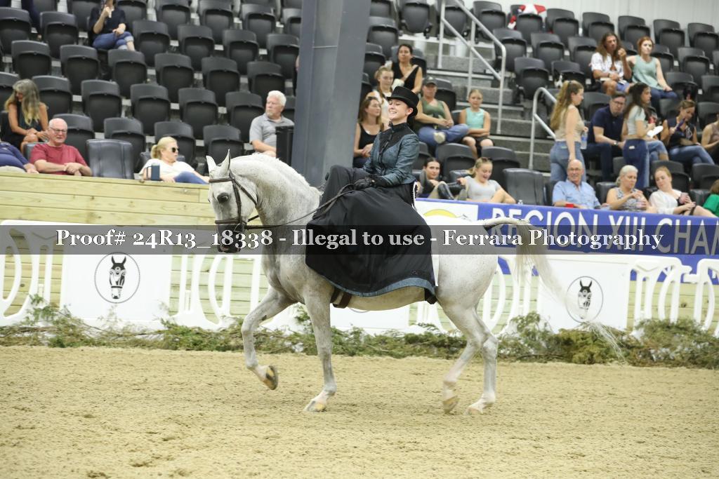 Proof 24R13_18338