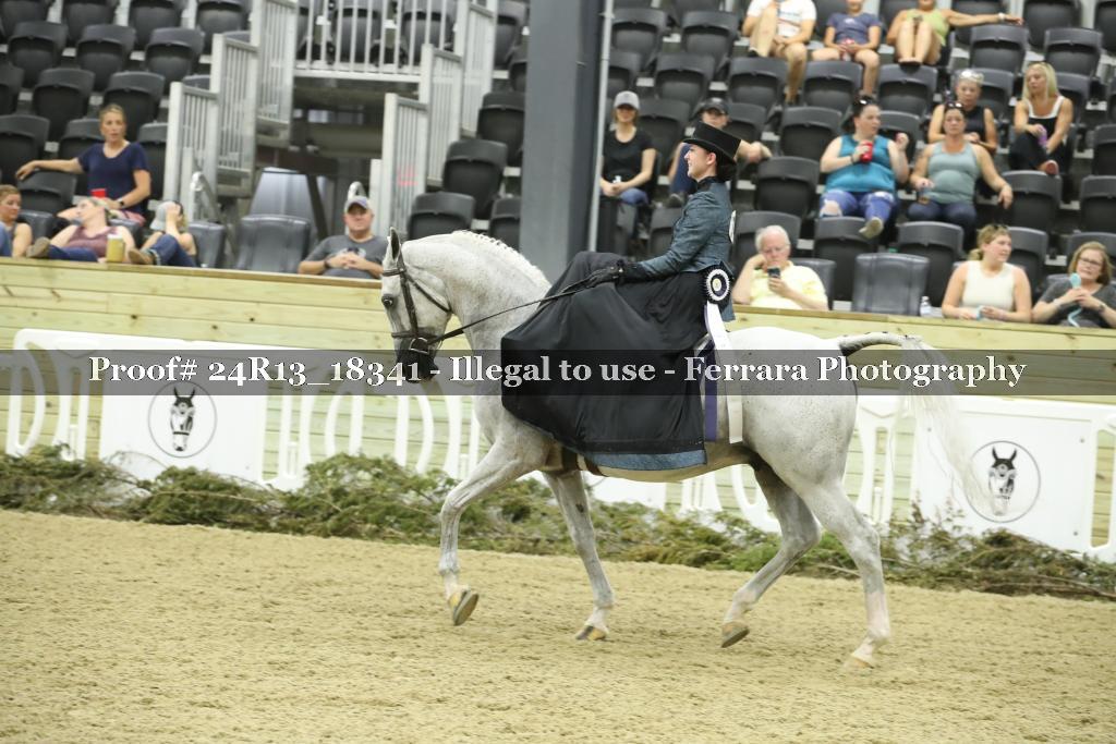 Proof 24R13_18341