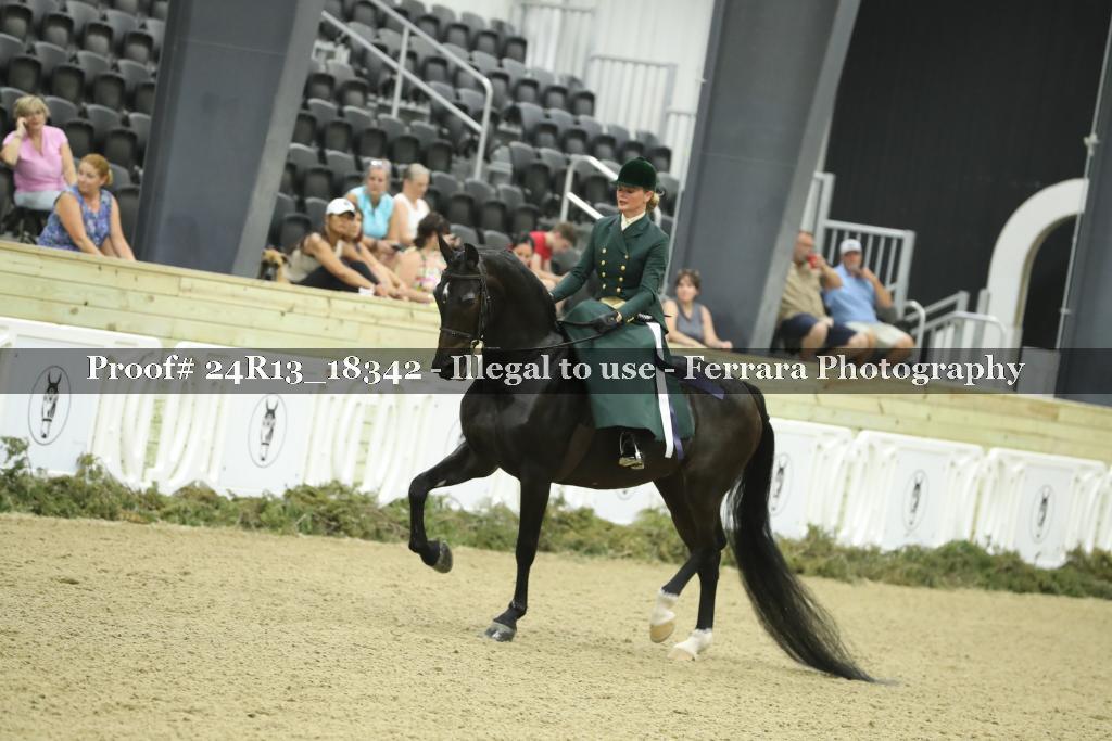 Proof 24R13_18342