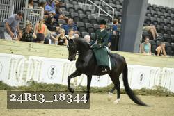 24R13_18344 proof
