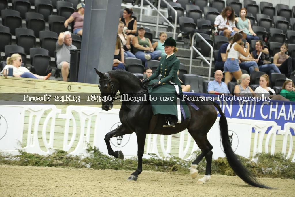 Proof 24R13_18346