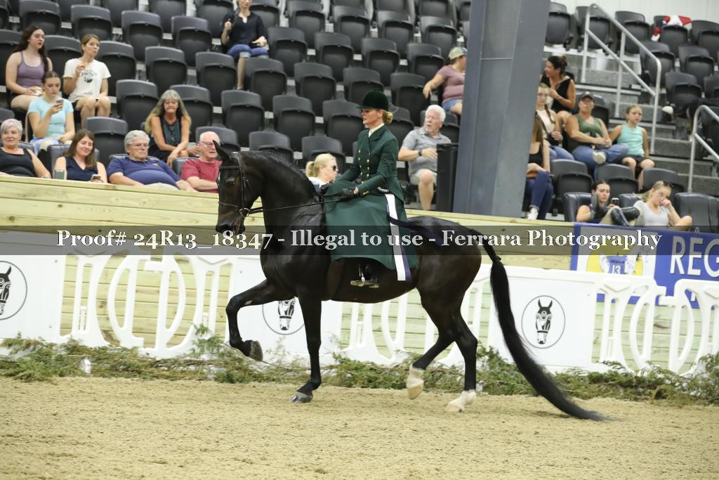 Proof 24R13_18347
