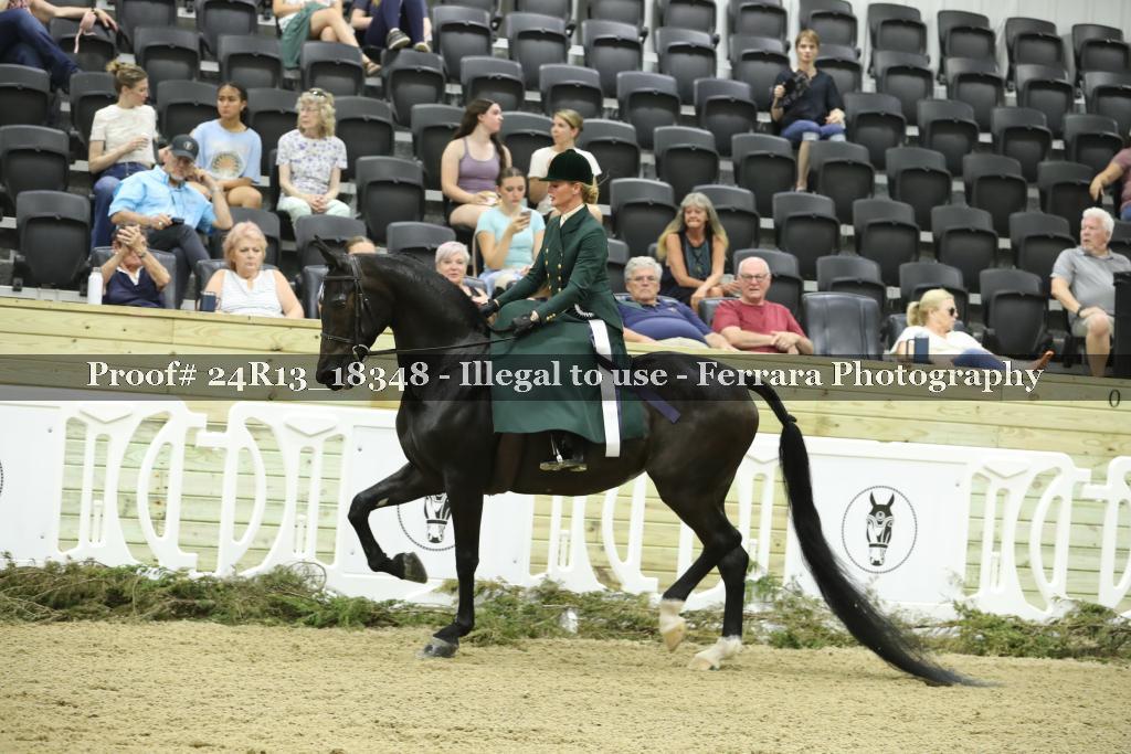 Proof 24R13_18348