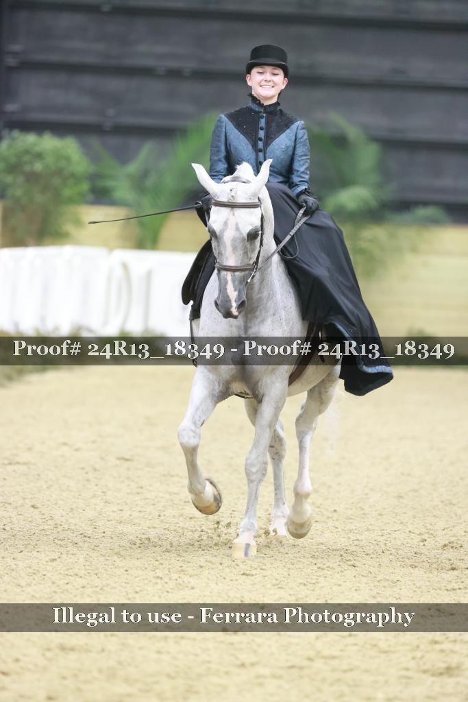 Proof 24R13_18349