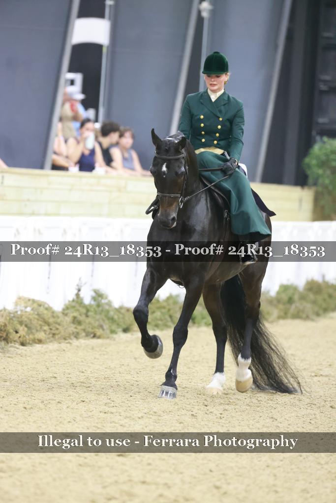 Proof 24R13_18353