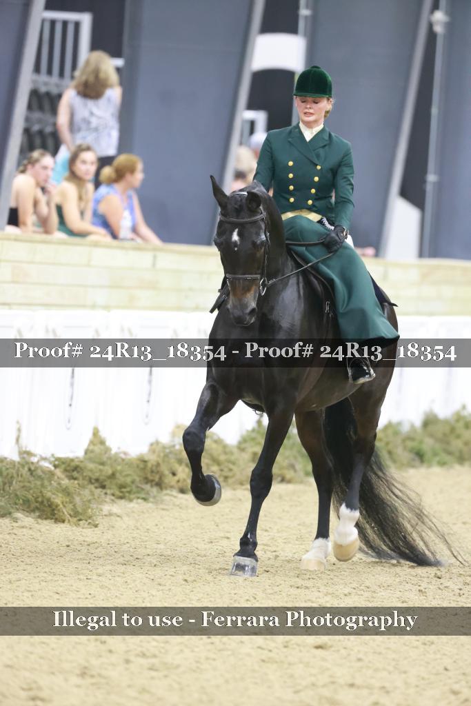 Proof 24R13_18354