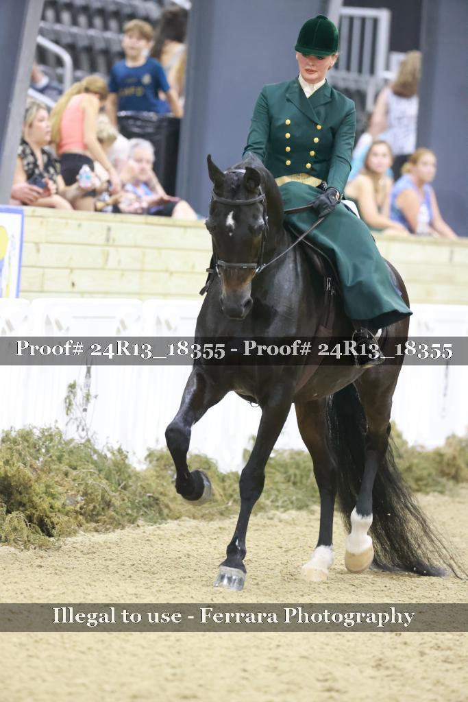 Proof 24R13_18355