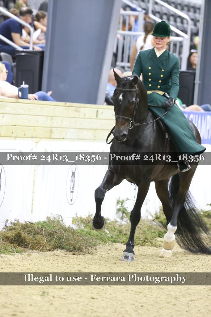 Proof 24R13_18356